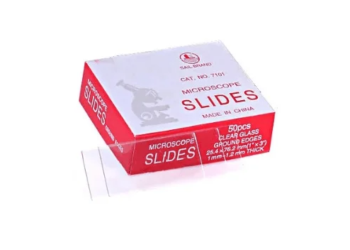 Sail Brand Plain Slides